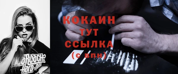 не бодяженный Новодвинск