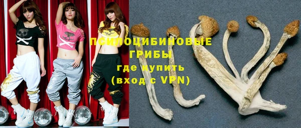 гидропоника Новозыбков