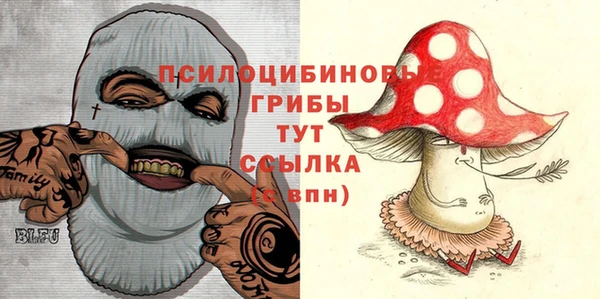 марихуана Абаза