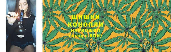 гидропоника Новозыбков